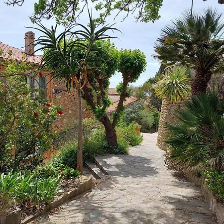 Bright 29M With Nice View In Bormes-Les-Mimosas Daire Dış mekan fotoğraf