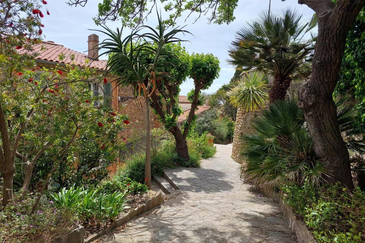 Bright 29M With Nice View In Bormes-Les-Mimosas Daire Dış mekan fotoğraf